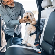 Thule Cappy – Crashtestet Bilsele til Hund